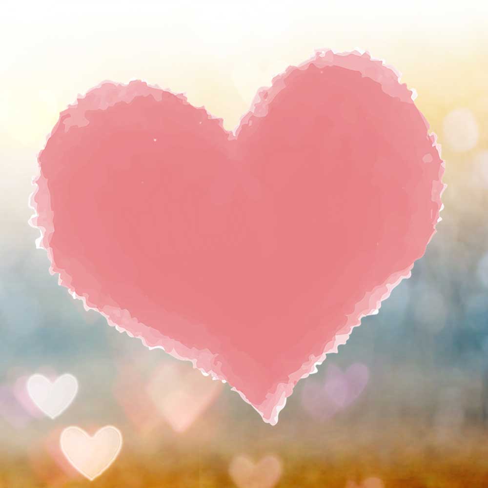 pernoi valentine's day